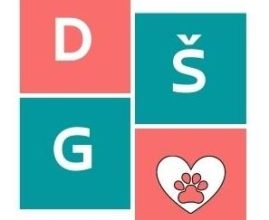 DSG-logo1-2-269x300
